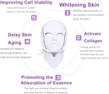 LED Facial Mask